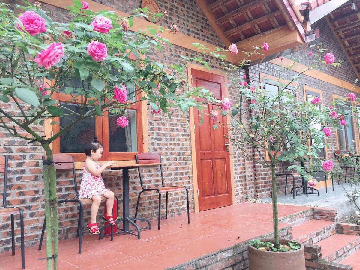 Tam Coc Tropical Homestay Ninh Binh Exterior photo